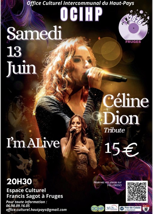 Affiche de Céline Dion tribute
