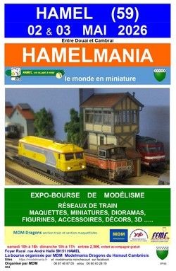 Affiche de Hamelmania
