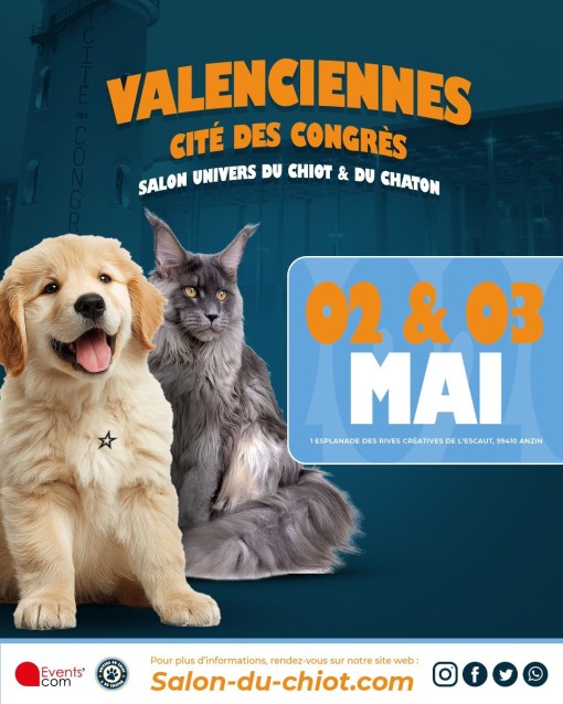 Affiche de Salon Univers du Chiot et du Chaton